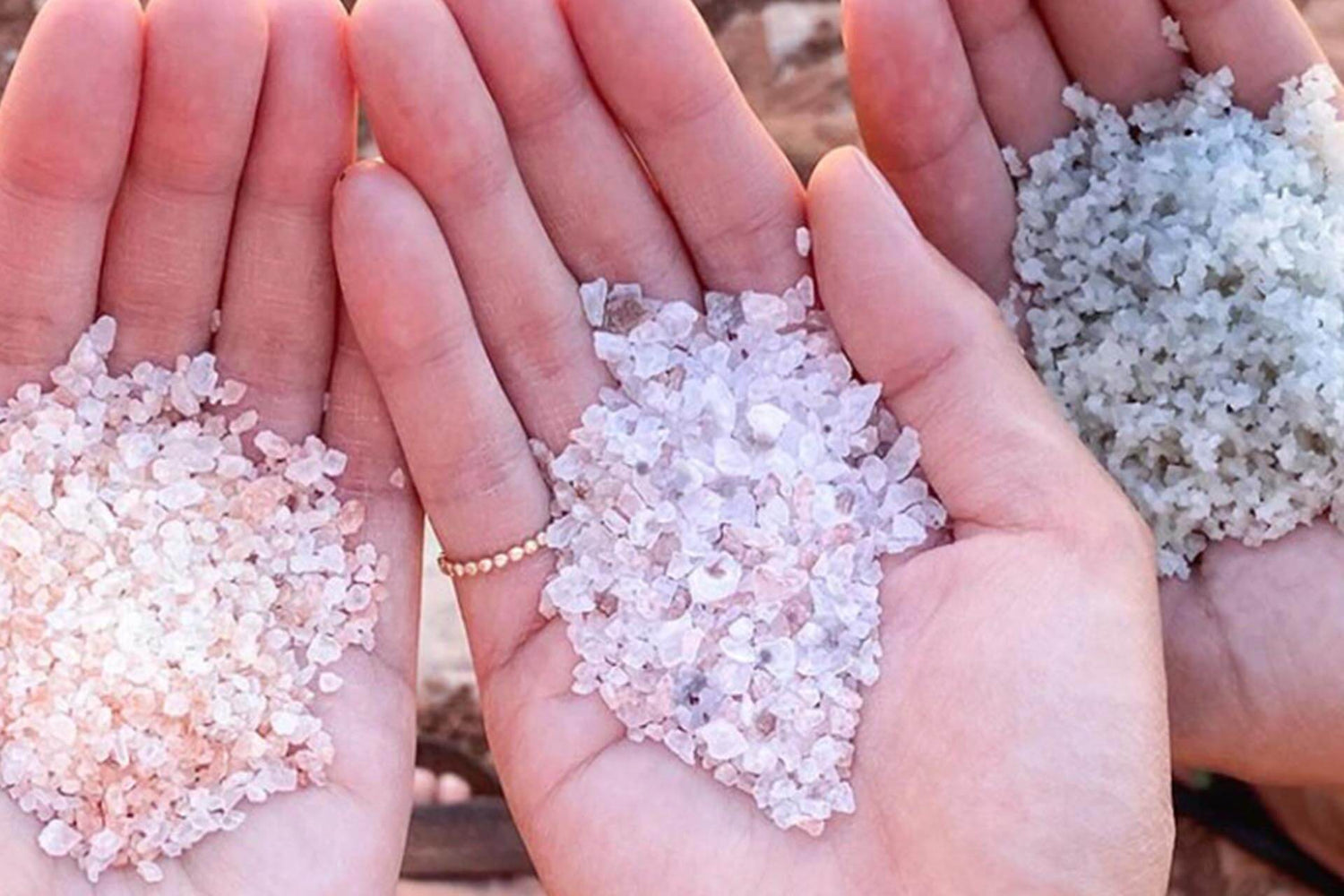 Real Salt vs Himalayan vs Celtic: Which Salt Is Best for Your Health?