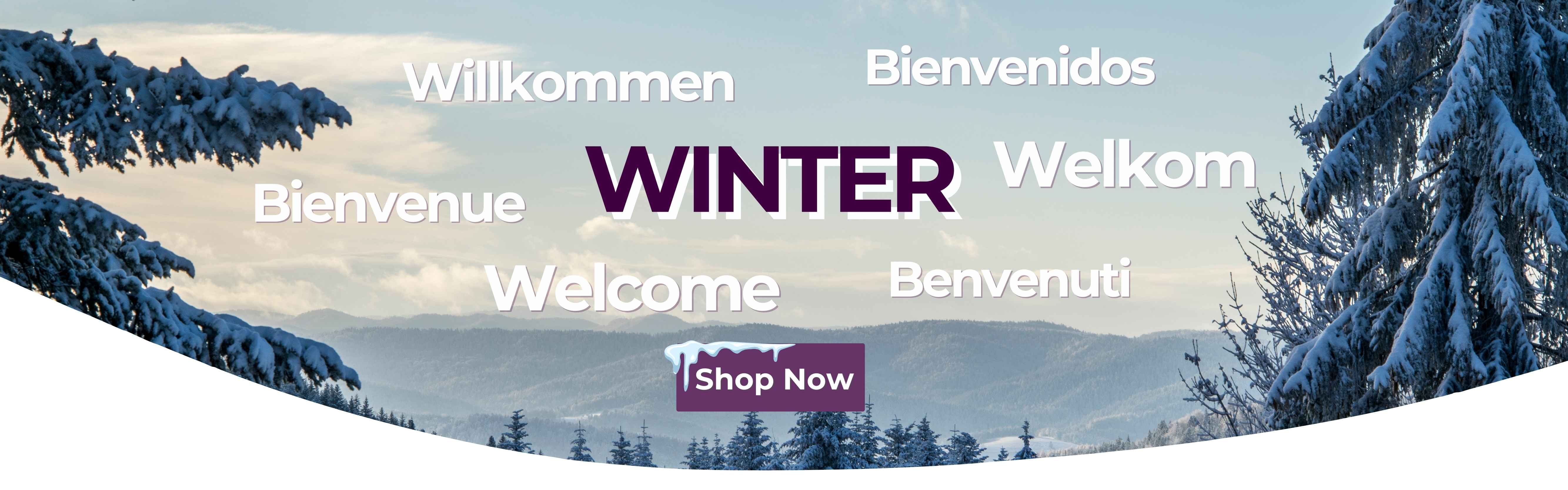 Winter Banner l DEC - FEB - Desktop