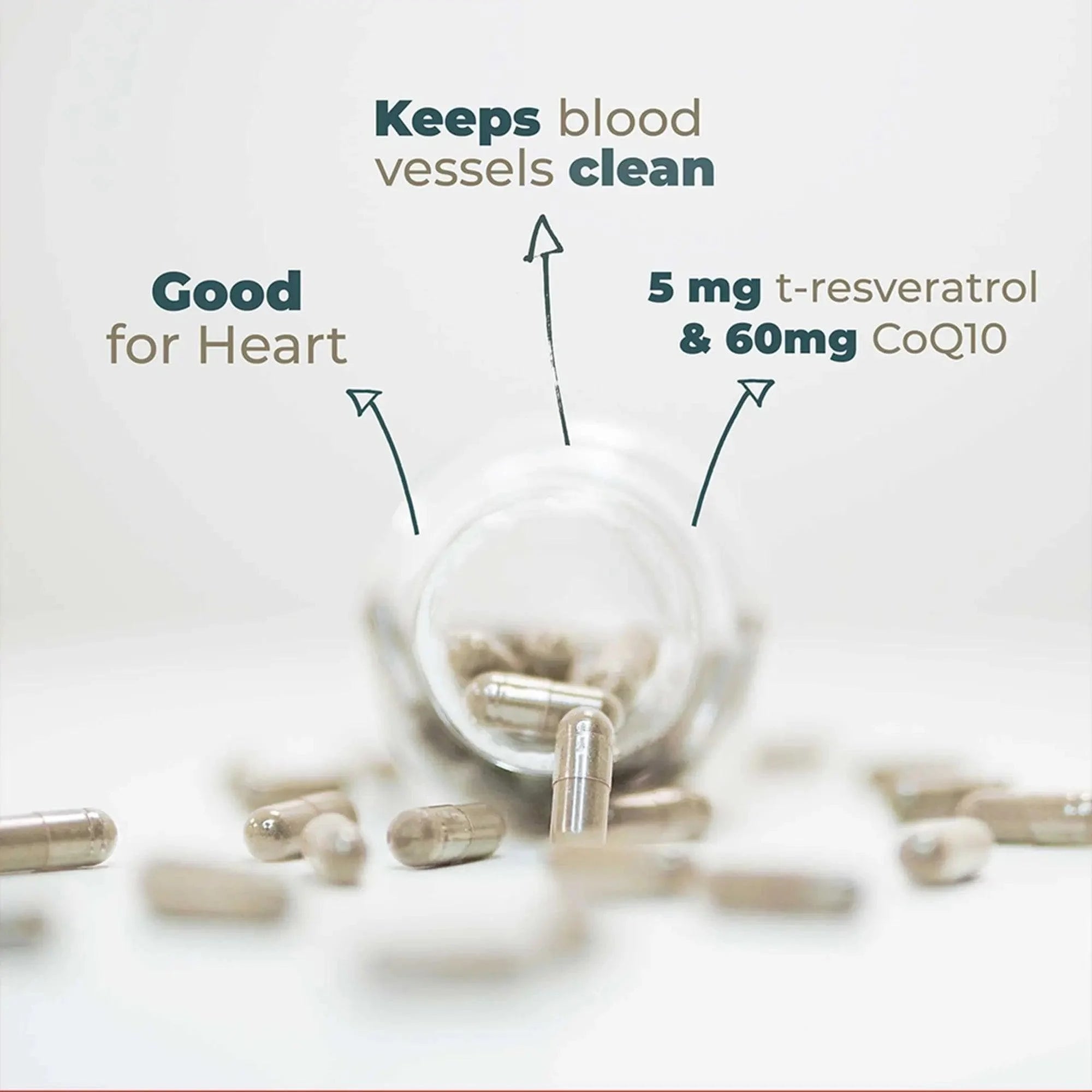 Good for Heart Polyphine Go-Keto x90 go-keto  P-HEA-90NL