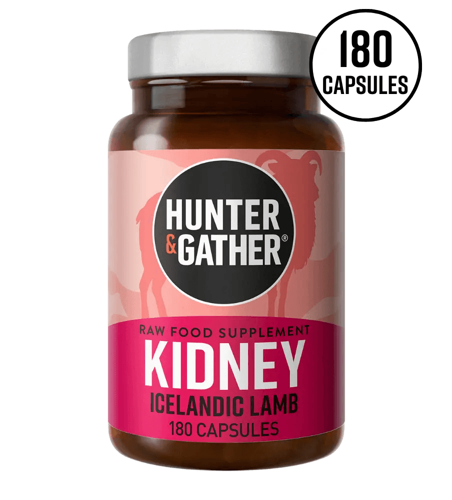 Hunter & Gather Kidney Iceland Lamb Hunter & Gather x90 00900031 Vital20